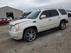 2010 Cadillac Escalade Premium