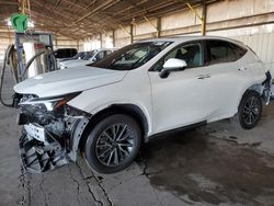 Salvage cars for sale at Phoenix, AZ auction: 2024 Lexus NX 350H Base