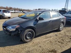 Toyota salvage cars for sale: 2014 Toyota Corolla L