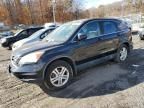 2010 Honda CR-V EXL