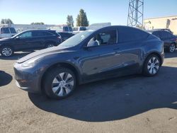 2023 Tesla Model Y en venta en Hayward, CA