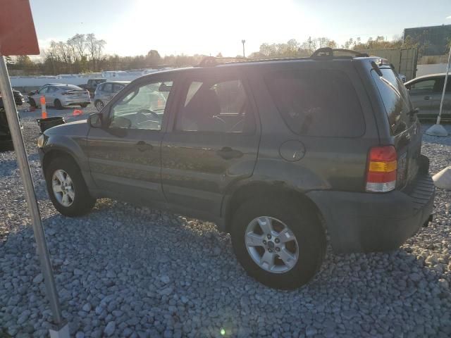 2007 Ford Escape XLT