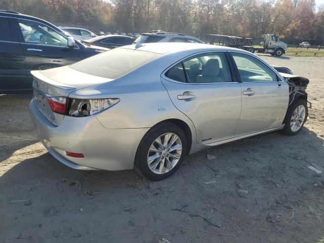 2013 Lexus ES 300H