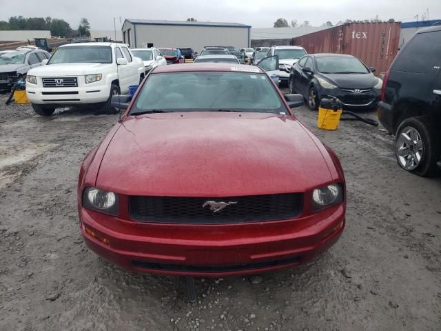 2005 Ford Mustang