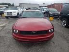 2005 Ford Mustang