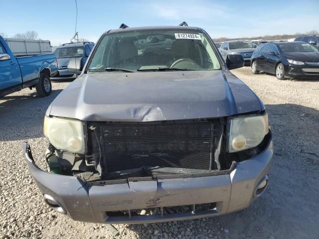 2008 Ford Escape XLT