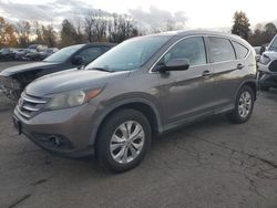 Honda salvage cars for sale: 2013 Honda CR-V EXL