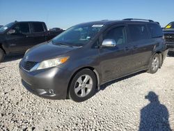 Salvage cars for sale at Taylor, TX auction: 2011 Toyota Sienna LE