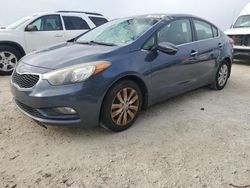 Salvage cars for sale at Arcadia, FL auction: 2014 KIA Forte EX