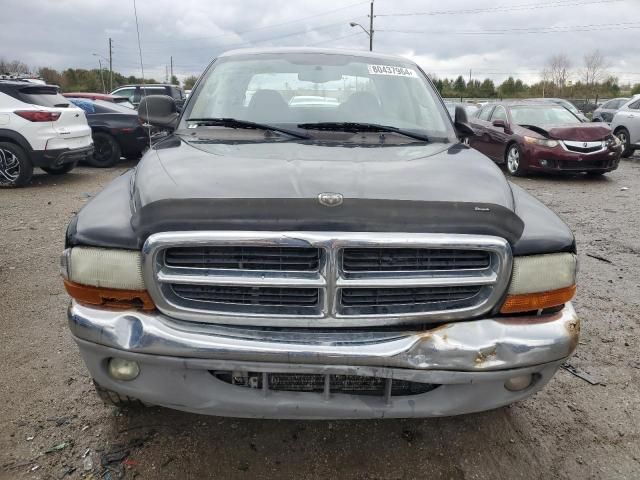 2004 Dodge Dakota Quad SLT