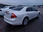 2010 Ford Fusion Hybrid