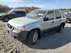 Ford Vehiculos salvage en venta: 2005 Ford Escape XLT