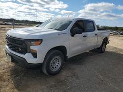 Salvage cars for sale at Tanner, AL auction: 2023 Chevrolet Silverado C1500