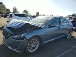 Salvage cars for sale at Van Nuys, CA auction: 2023 Cadillac CT5 Premium Luxury