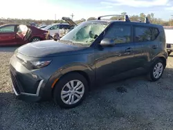 Salvage cars for sale at Riverview, FL auction: 2023 KIA Soul LX