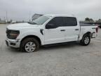 2024 Ford F150 XL