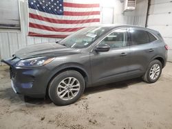 Ford Escape se salvage cars for sale: 2020 Ford Escape SE