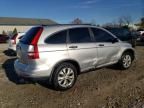 2010 Honda CR-V LX