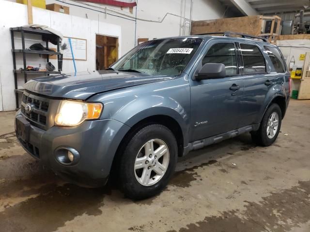 2010 Ford Escape Hybrid