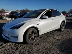 Salvage cars for sale at Hillsborough, NJ auction: 2024 Tesla Model Y