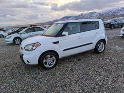 Salvage cars for sale at Magna, UT auction: 2011 KIA Soul +