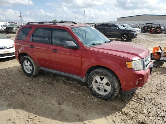 2011 Ford Escape XLT