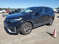 Salvage cars for sale at Houston, TX auction: 2022 Honda CR-V EX