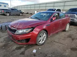 Salvage cars for sale at Albuquerque, NM auction: 2013 KIA Optima EX