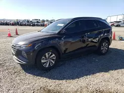 2022 Hyundai Tucson Blue en venta en San Diego, CA