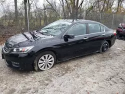 2014 Honda Accord EXL en venta en Cicero, IN