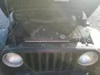 1998 Jeep Wrangler / TJ SE