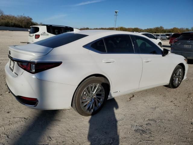 2021 Lexus ES 300H Luxury