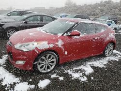 Salvage cars for sale at Reno, NV auction: 2013 Hyundai Veloster