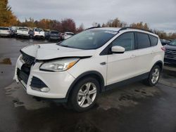 Salvage cars for sale at Woodburn, OR auction: 2014 Ford Escape SE