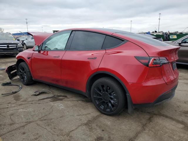 2020 Tesla Model Y