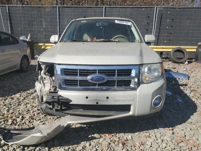 2008 Ford Escape Limited