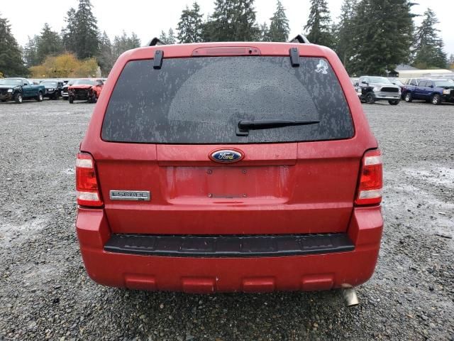 2009 Ford Escape XLT