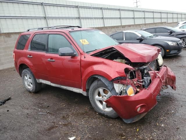 2009 Ford Escape XLT