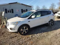 Salvage cars for sale at Baltimore, MD auction: 2017 Ford Escape SE