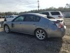 2007 Nissan Maxima SE