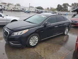 Lotes con ofertas a la venta en subasta: 2016 Hyundai Sonata Hybrid