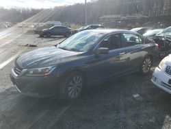 Salvage cars for sale at Baltimore, MD auction: 2014 Honda Accord EXL