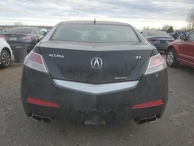 2010 Acura TL