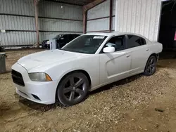 Dodge salvage cars for sale: 2014 Dodge Charger SXT