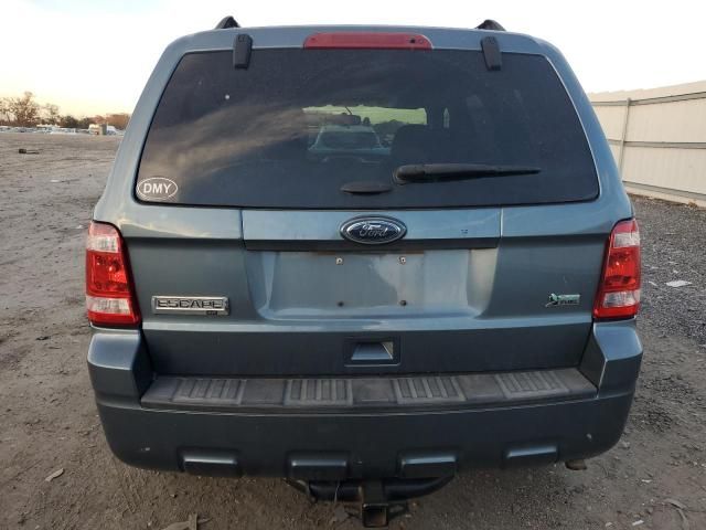 2012 Ford Escape XLT