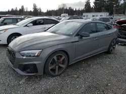 Vehiculos salvage en venta de Copart Graham, WA: 2023 Audi A5 Prestige 45