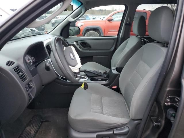 2007 Ford Escape XLT