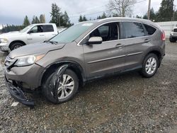 Honda salvage cars for sale: 2014 Honda CR-V EXL