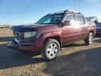 2007 Honda Ridgeline RTL