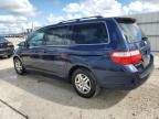 2007 Honda Odyssey EXL